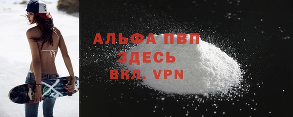 таблы Бородино