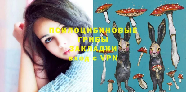 прущий лед Бронницы