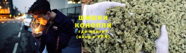 спиды Богданович