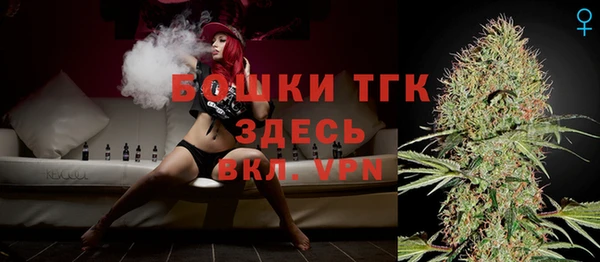 спиды Богданович